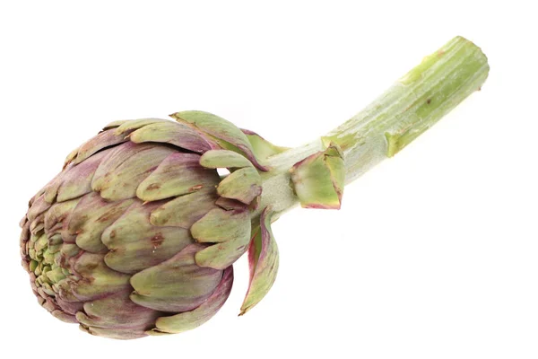 Fresh artichoke isolated — Stock Photo, Image