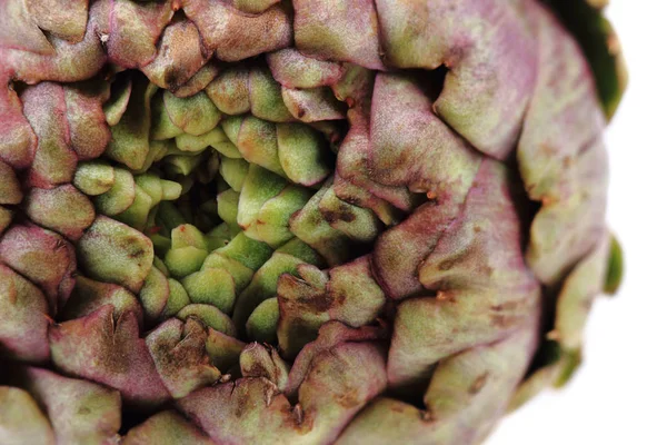 Textura de alcachofa fresca — Foto de Stock