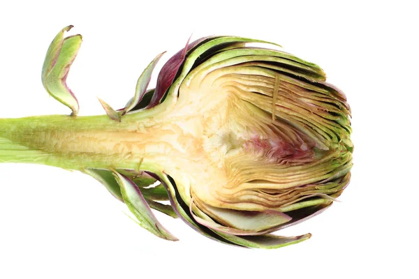 Fresh artichoke isolated — Stock Photo, Image