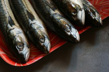 ham uskumru balığı arka plan