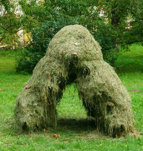 Haycocok em pequena fazenda — Fotografia de Stock