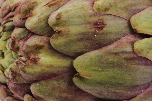 Textura de alcachofra fresca — Fotografia de Stock