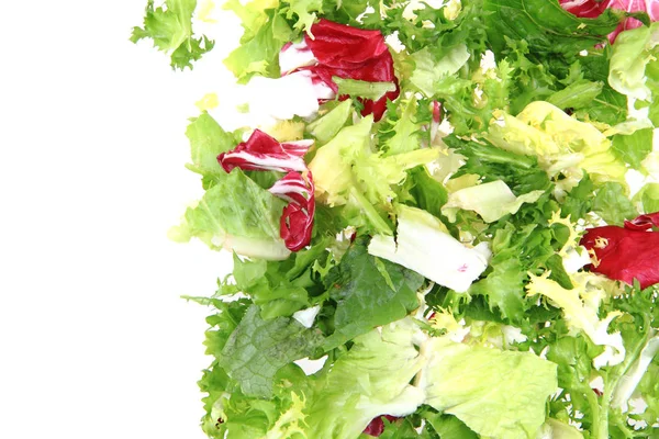 Fresh color lettuce — Stock Photo, Image