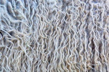 fleece doğal arka plan