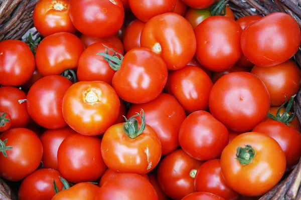 Fresh tomatoes texture — Stock Photo, Image