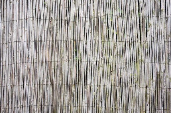 Textura de palha de bambu — Fotografia de Stock