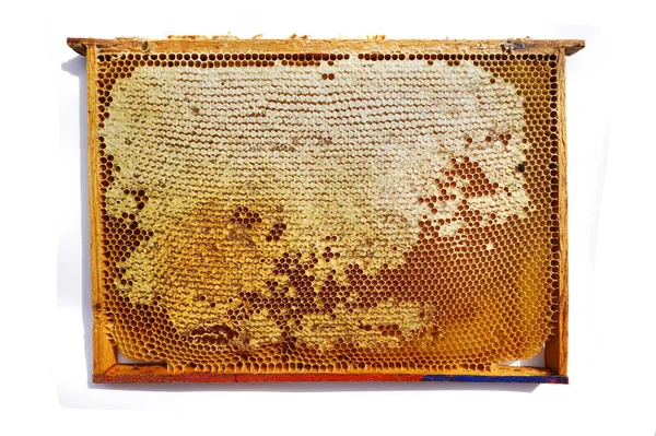 Рамка медового сота изолирована — стоковое фото