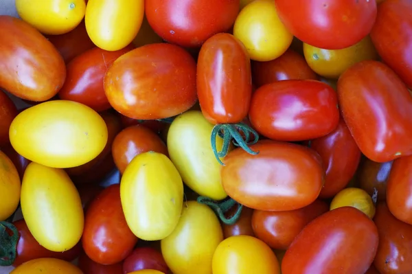 Fresh tomatoes texture — Stock Photo, Image