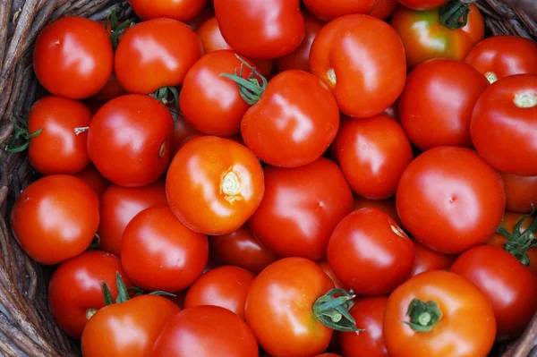 Fresh tomatoes texture — Stock Photo, Image