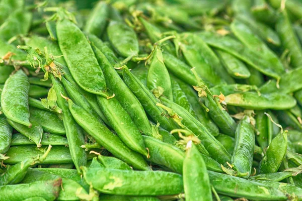 Groene erwt textuur — Stockfoto