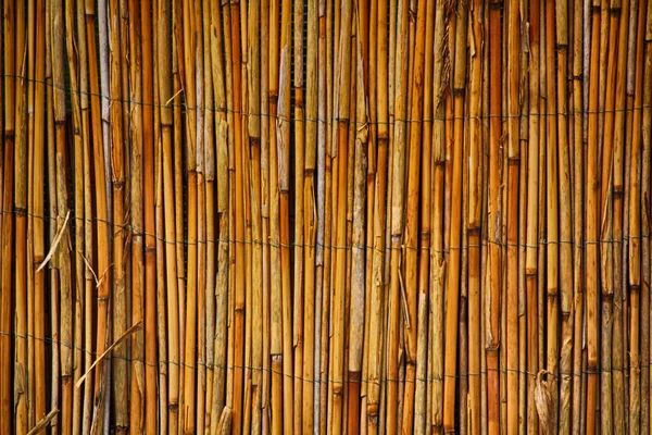 Alte Bambus-Textur — Stockfoto