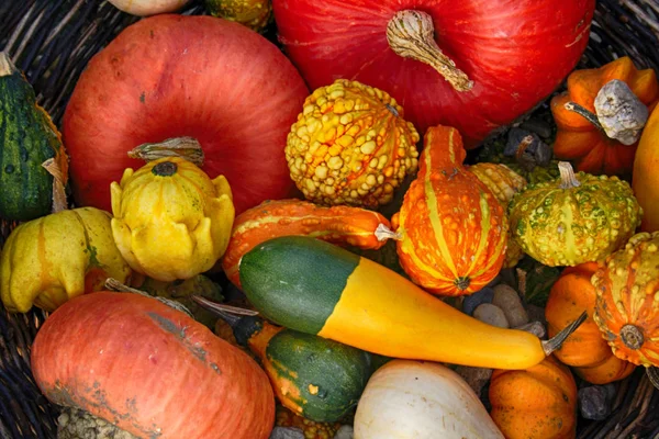 Kabaklar halloween geçmiş — Stok fotoğraf