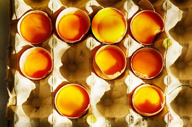 Açık yumurta arka plan