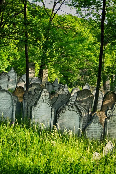 Old jewish burial place — Stock Photo, Image