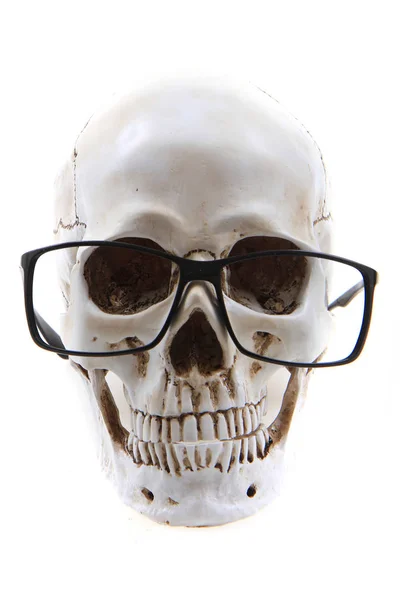Череп человека с изолированными очками — стоковое фото