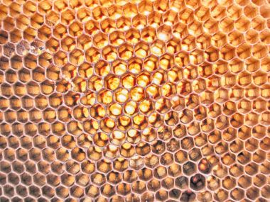 balmumu doku bal olmadan