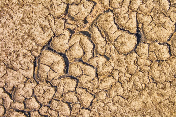 Tło suche gleby — Zdjęcie stockowe
