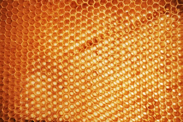 Bivax wirhout honung — Stockfoto