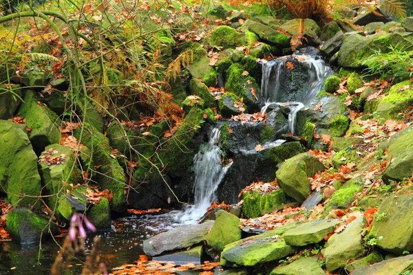 Petite cascade d'automne — Photo