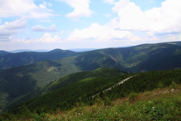 Jeseniky Berge und Wälder — Stockfoto