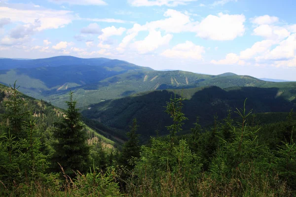 Montanhas e florestas Jeseniky — Fotografia de Stock