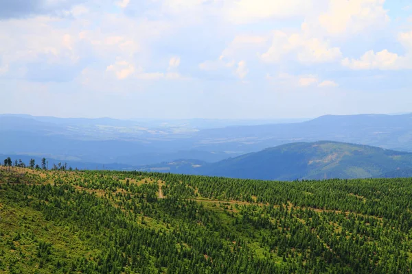 Jeseniky の山と森 — ストック写真