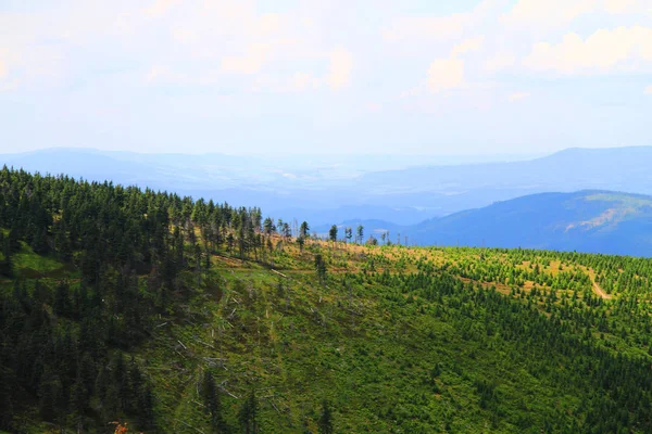 Jeseniky Berge und Wälder — Stockfoto