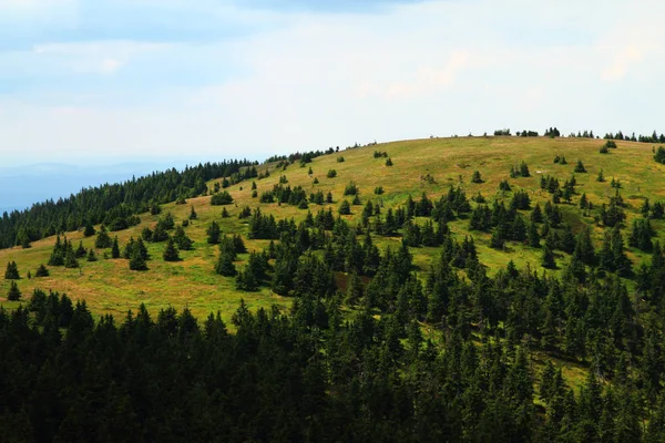 Jeseniky 산 및 숲 — 스톡 사진
