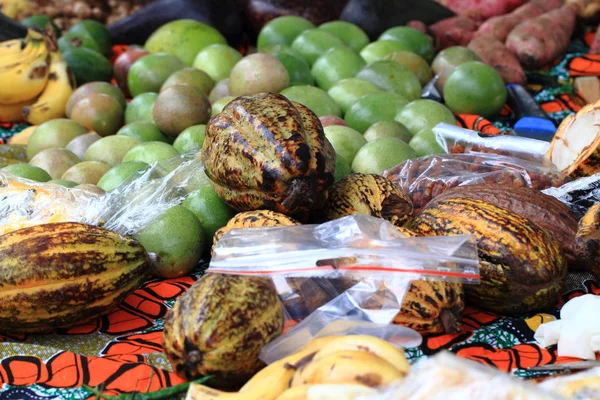 Kakaové plody, jackfruit a jiné ovoce — Stock fotografie