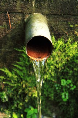 Bahar ormanın içinde su