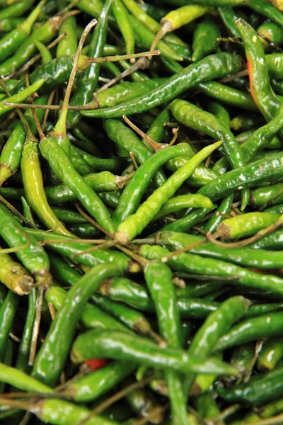 fresh green chilly spice