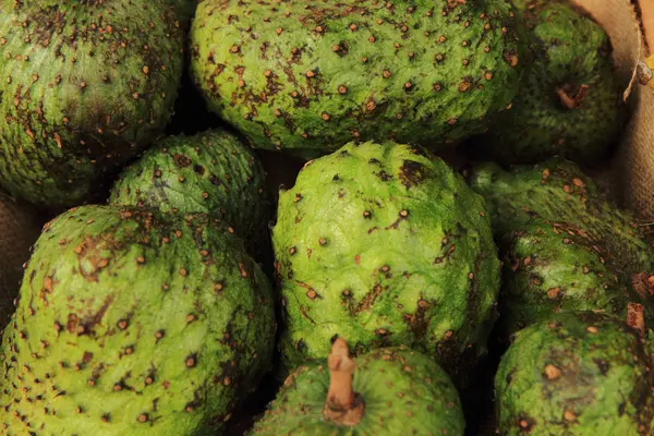 Frutos de annona verde — Foto de Stock