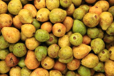 guava meyve doku
