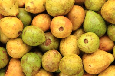 guava meyve doku