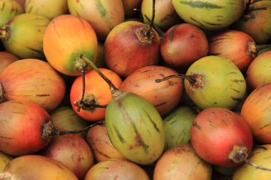 tamarillo taze meyve 