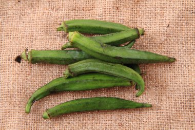 bamya sebze Güney Afrika