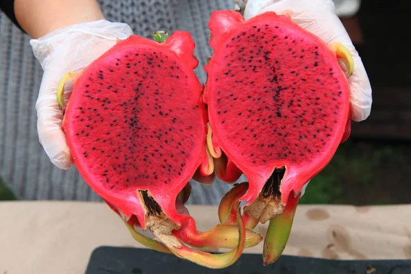 Polovina z červené dragonfruit — Stock fotografie