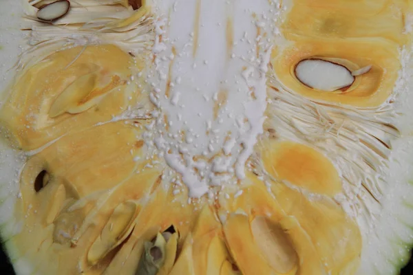 Detail of half of jackfruit — Stock Photo, Image