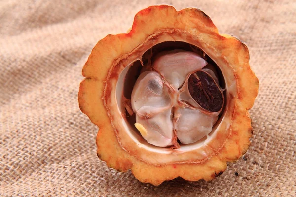 Half of cocoa fruit — Stock Photo, Image