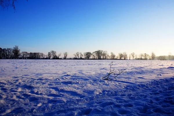 Blauwe winter land — Stockfoto