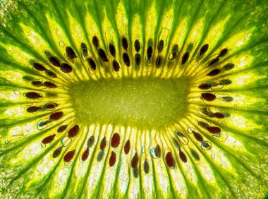 Yeşil kiwi arka plan