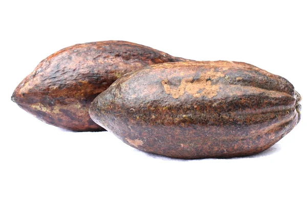 Kakaové plody, samostatný — Stock fotografie
