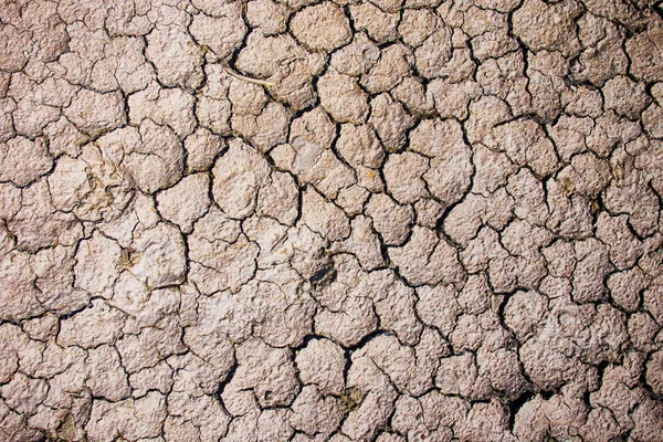 Tło suche gleby — Zdjęcie stockowe