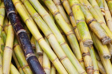 şeker kamışı doku güzel doğal arka plan olarak