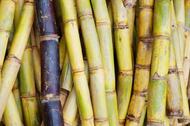 şeker kamışı doku güzel doğal arka plan olarak