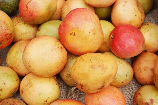 Mango meyve arka plan