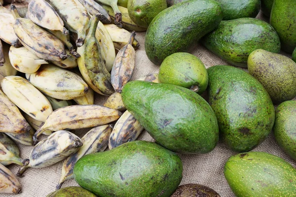 Frische grüne Avocado — Stockfoto