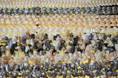 gökkuşağı inci doku 