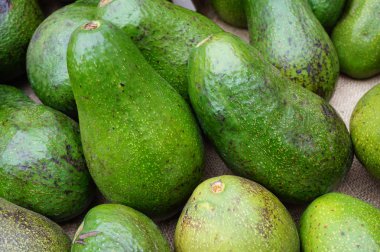 taze yeşil avokado