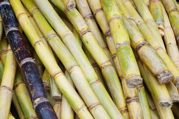 Sockerrör textur som fin naturlig bakgrund — Stockfoto